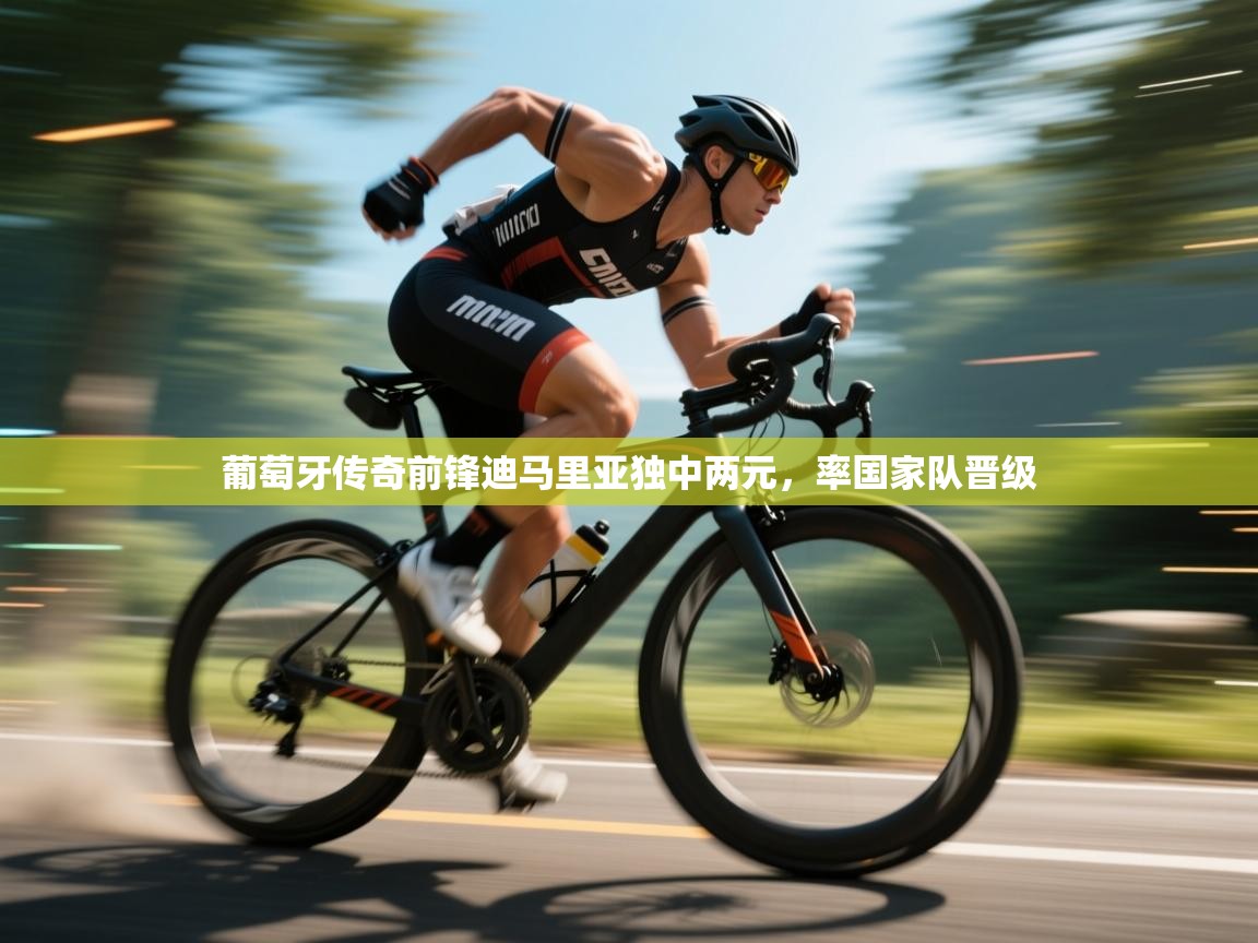 开云体育工单提交入口-葡萄牙传奇前锋迪马里亚独中两元，率国家队晋级  第2张