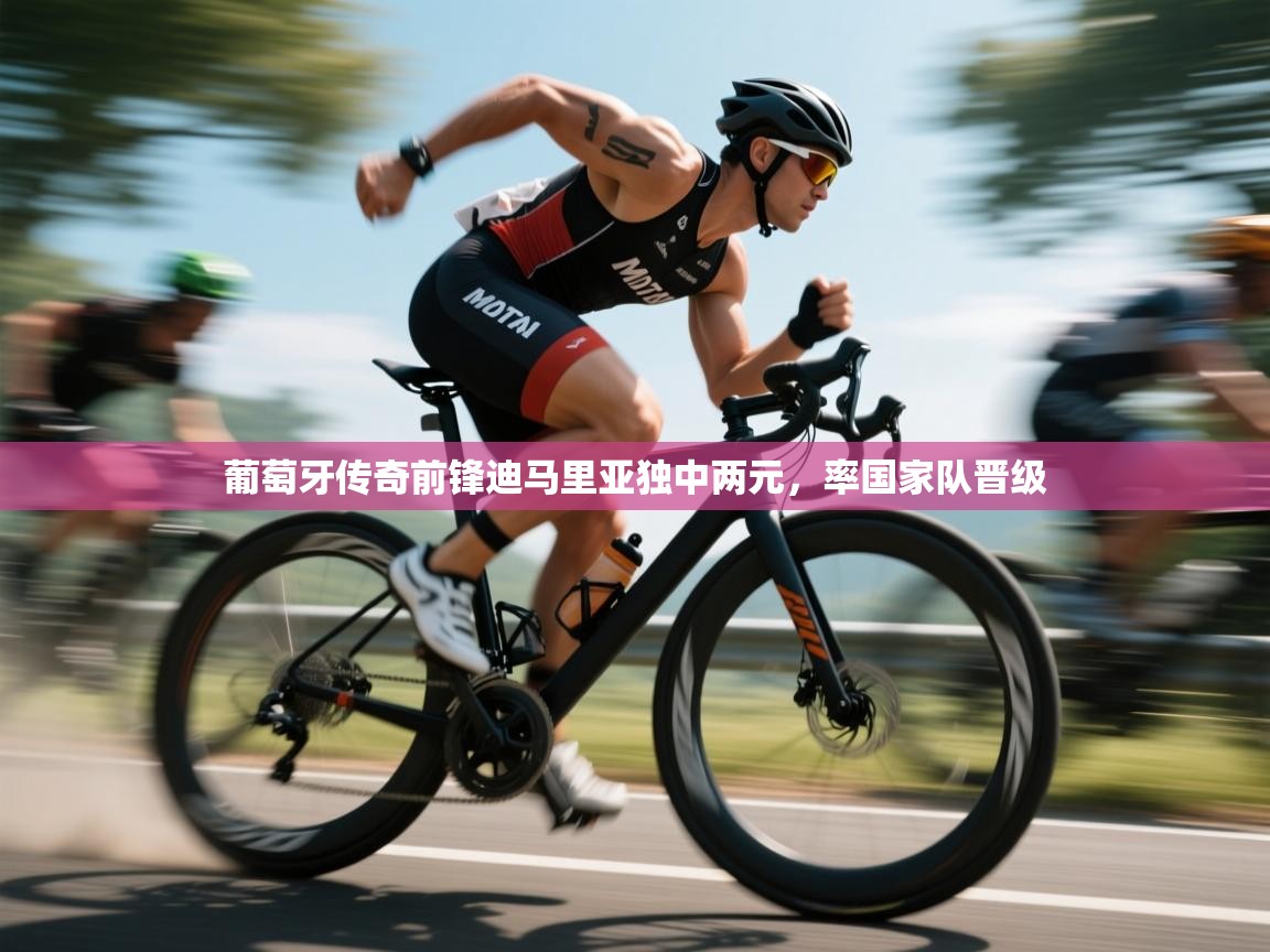 开云体育工单提交入口-葡萄牙传奇前锋迪马里亚独中两元，率国家队晋级  第3张