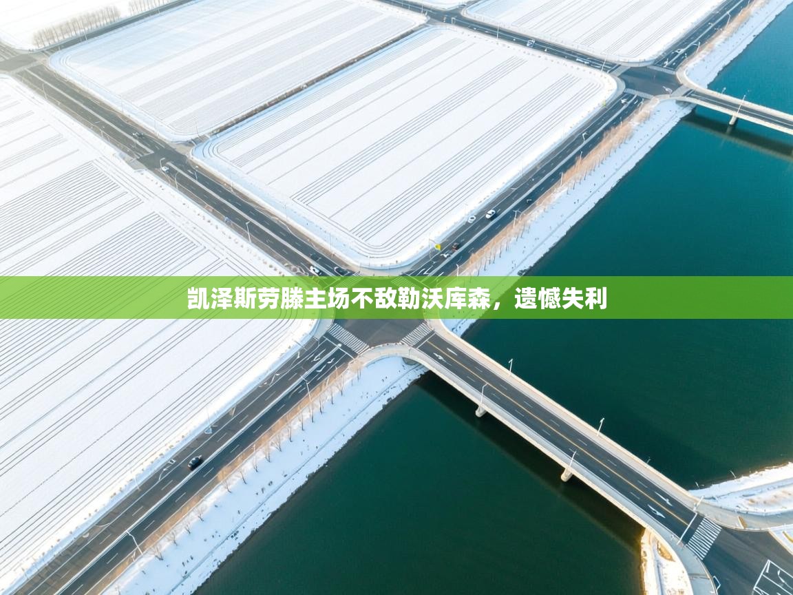 开云体育修改登录密码-凯泽斯劳滕主场不敌勒沃库森，遗憾失利