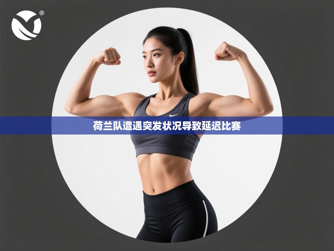 开云体育app安装-荷兰队遭遇突发状况导致延迟比赛  第1张