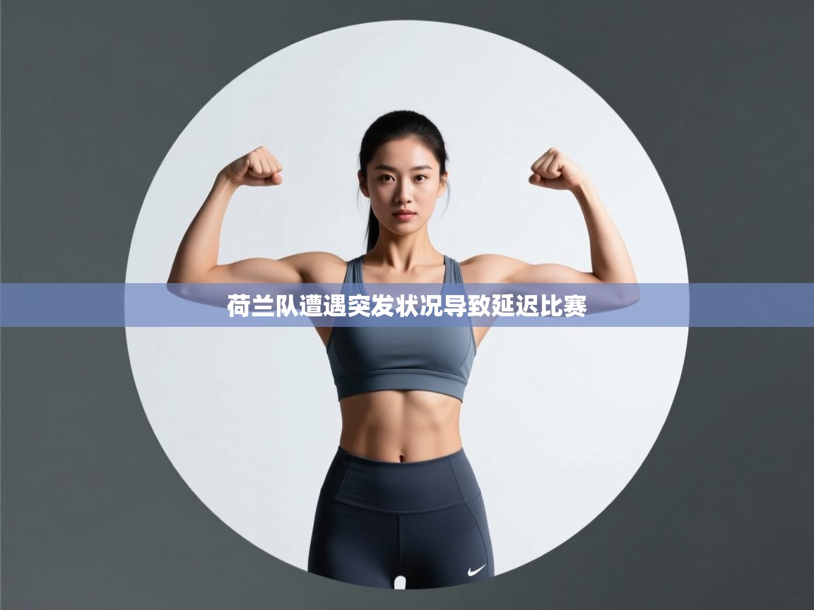 开云体育app安装-荷兰队遭遇突发状况导致延迟比赛  第2张