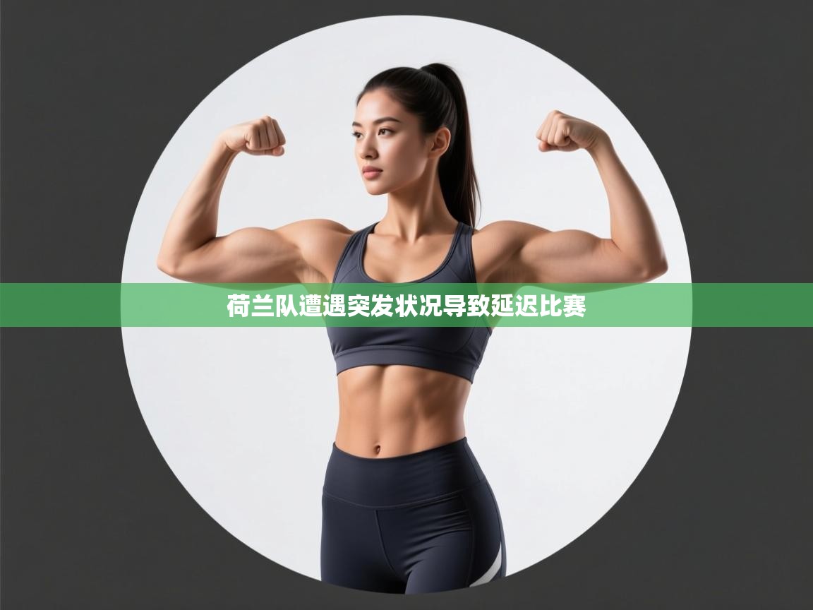 开云体育app安装-荷兰队遭遇突发状况导致延迟比赛  第3张