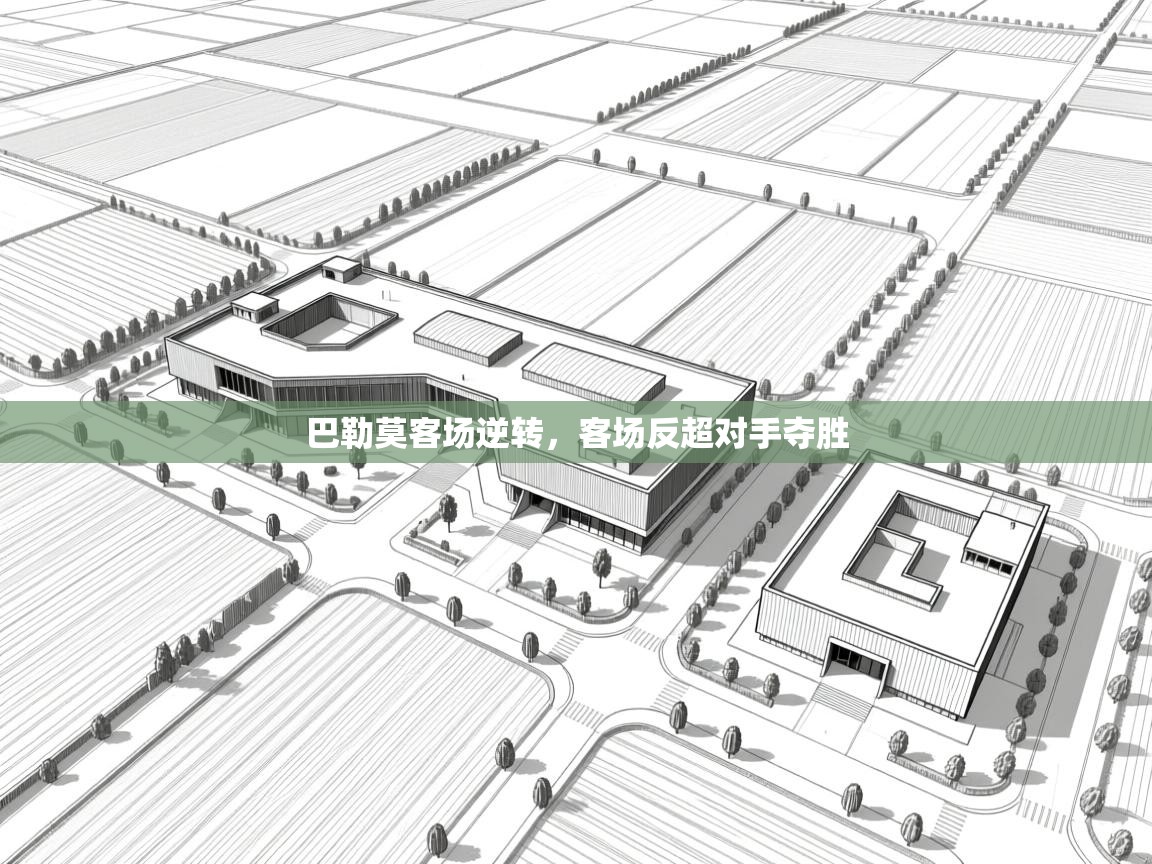 kaiyun-巴勒莫客场逆转，客场反超对手夺胜  第1张