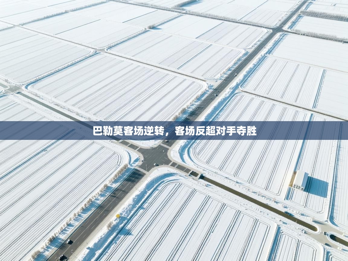 kaiyun-巴勒莫客场逆转，客场反超对手夺胜  第4张