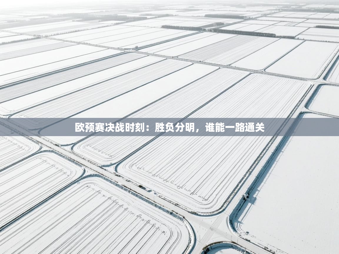 开云体育版本更新日志2025-欧预赛决战时刻：胜负分明，谁能一路通关  第2张
