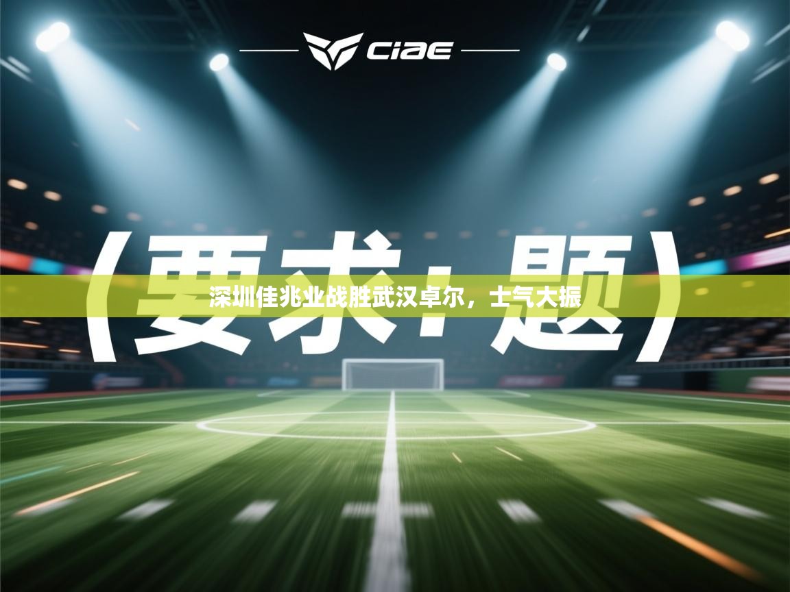 开云体育app下载入口-深圳佳兆业战胜武汉卓尔，士气大振  第2张