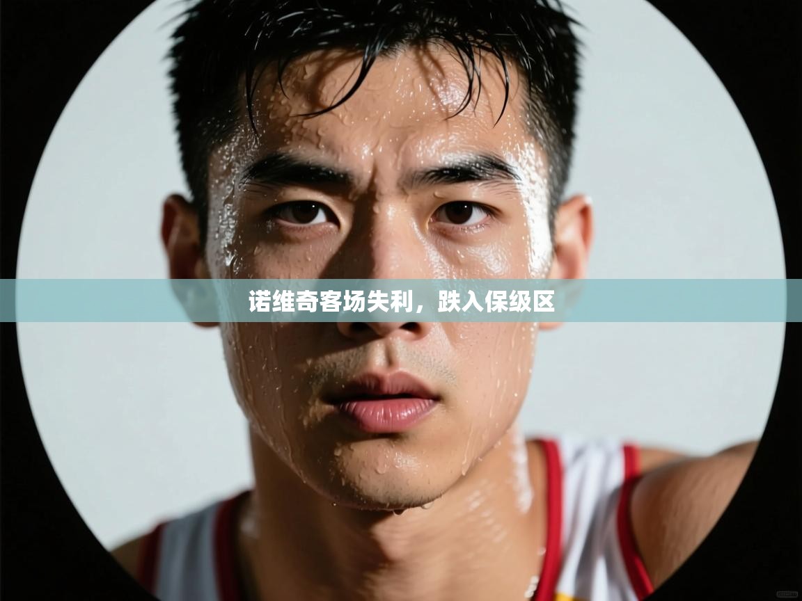开云体育账号申诉通道-诺维奇客场失利，跌入保级区  第2张