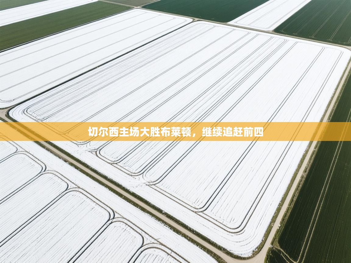 云开体育官网登录入口手机版-切尔西主场大胜布莱顿，继续追赶前四  第1张