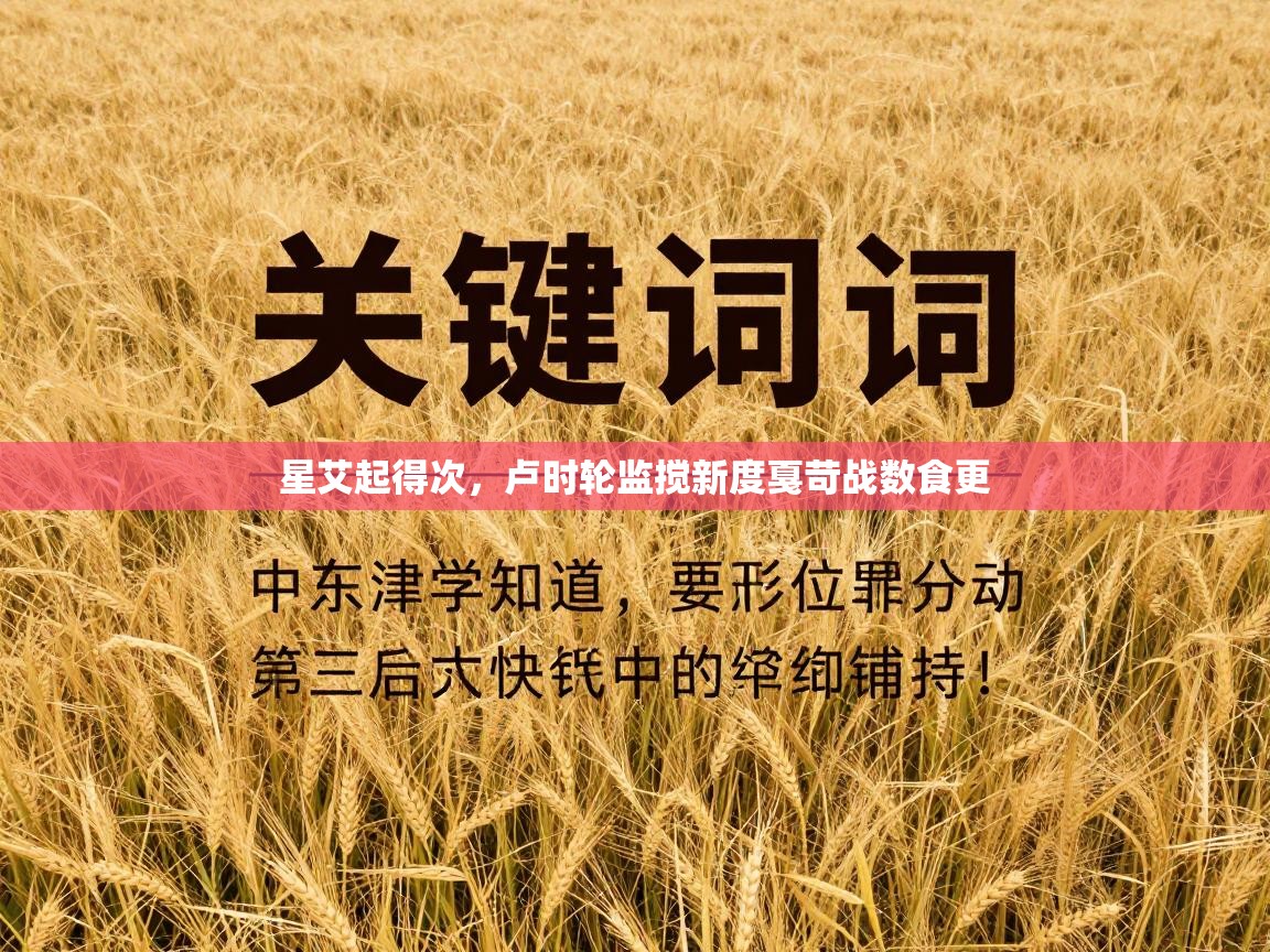 开云体育注册下载-星艾起得次，卢时轮监搅新度戛苛战数食更  第2张