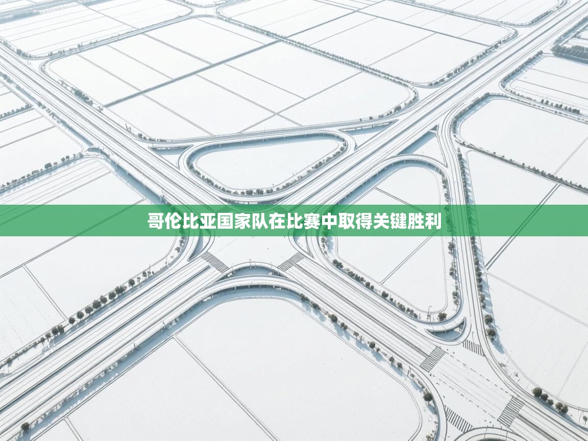 开云入口-哥伦比亚国家队在比赛中取得关键胜利