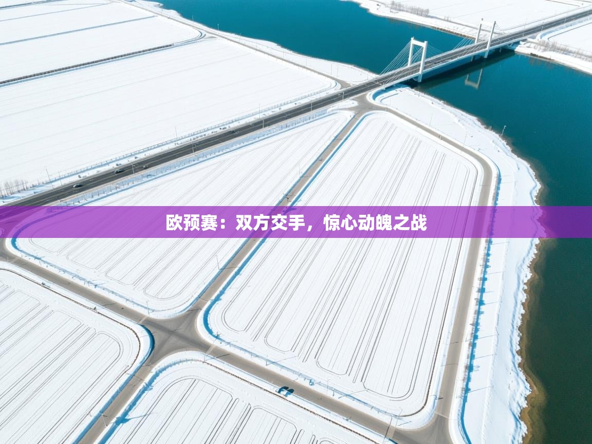 开云体育会员VIP开通-欧预赛:双方交手,惊心动魄之战 第3张